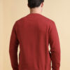 Allen Solly Men Round Neck Sweatshirt