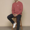 HRX by Hrithik Roshan Self Design Round Neck Long Sleeves Pullover Sweatshirt