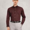 Nautica Slim Fit Pure Cotton Formal Shirt