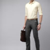 Park Avenue Self Design Slim Fit Textured Formal Shirt