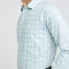 Park Avenue Slim Fit Checked Pure Cotton Formal Shirt