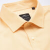 Park Avenue Slim Fit Micro Checks Opaque Formal Shirt