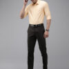 Park Avenue Slim Fit Micro Checks Opaque Formal Shirt