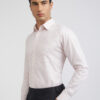 Raymond Men Pure Cotton Slim Fit Micro Checks Formal Shirt