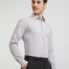 Raymond Slim Fit Striped Pure Cotton Formal Shirt